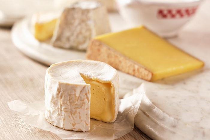 瑞士奶酪加盟 瑞士奶酪加盟费 加盟条件 瑞士奶