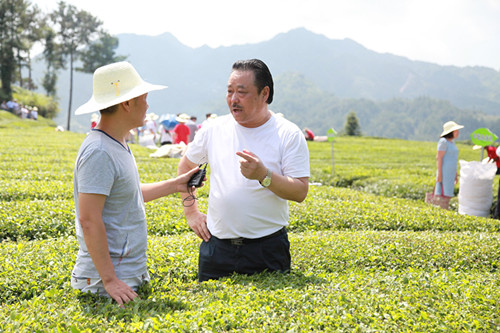 邓村绿茶加盟店