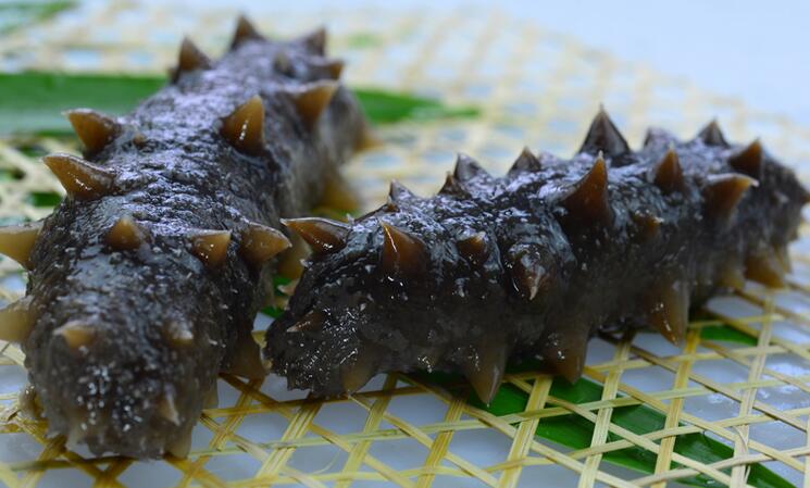 华海蓝天即食海参加盟 华海蓝天即食海参加盟