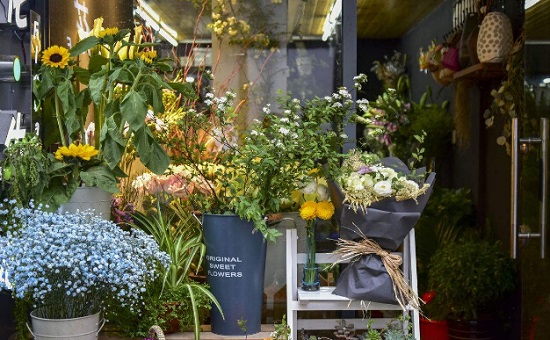 植物花卉店加盟排行榜