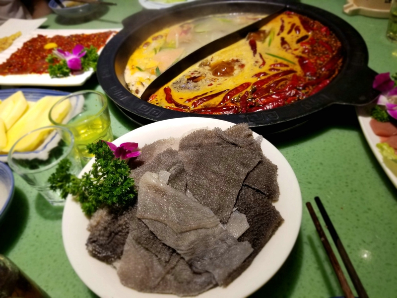 重庆 运营 招聘,重庆运营招聘