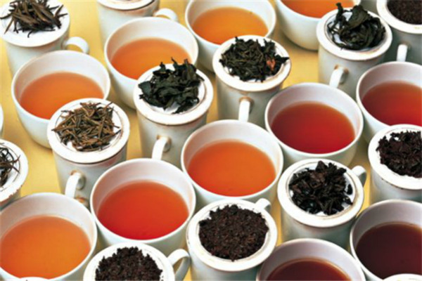 茶叶加盟需要哪些条件