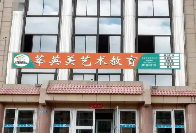 莘英美教育可以提供形体舞蹈,美术,绘画,口才等各方面的培艺术培训,在