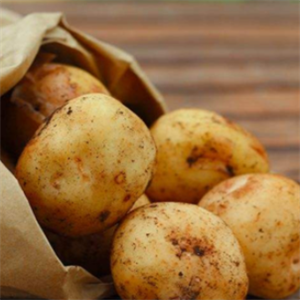  Potato industry sincerely invites to join