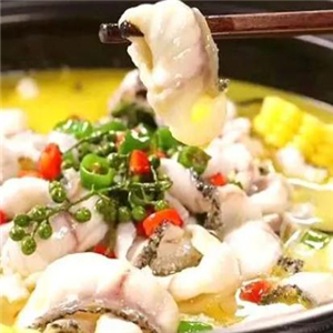 正宗酸菜魚連鎖店