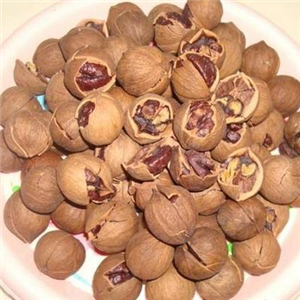 浜戝崡鍦熺壒鐢�(ch菐n)