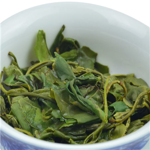 綠茶飲料