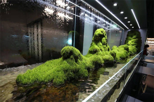 水族器材加盟