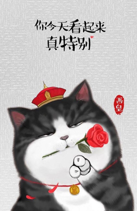 չʾ